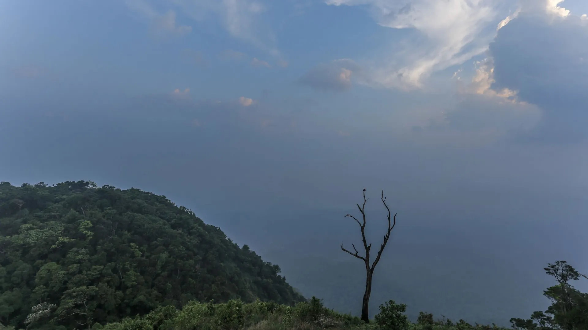 Treebo Forest County Munnar